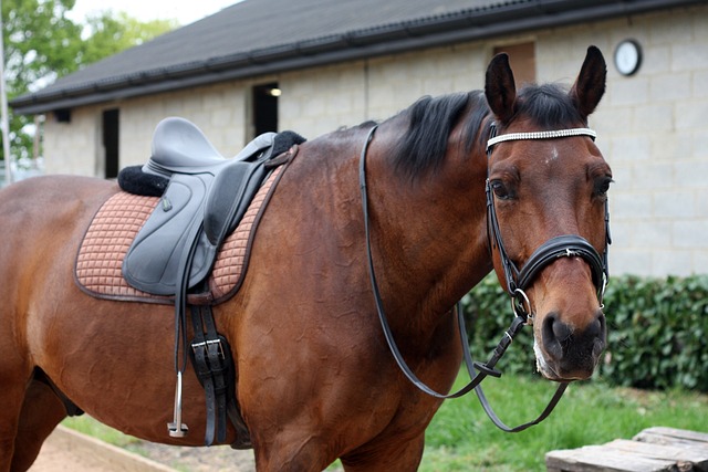 原声存在